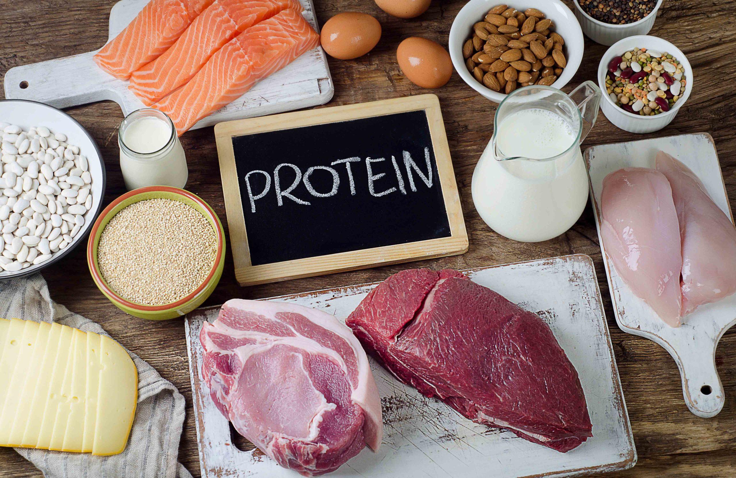 thực phẩm chứa protein